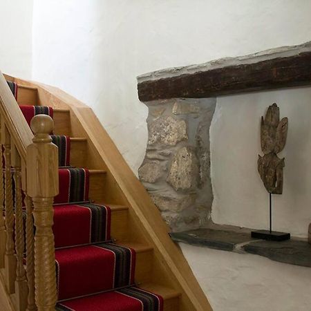 Ty-Hapus Cottage Jordanston Zewnętrze zdjęcie